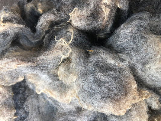 Gray Wool - 100gm